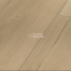 Ламинат Parador Trendtime 6 1730466 Дуб Лофт фото 1 | FLOORDEALER